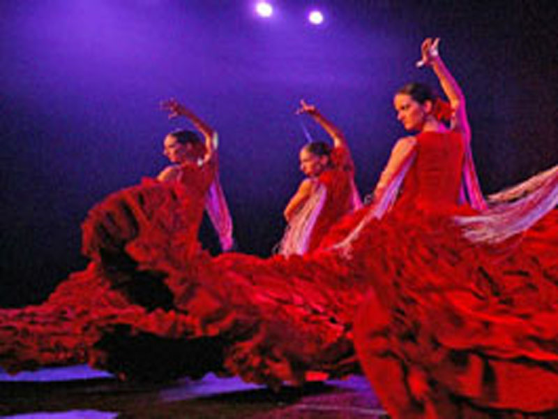 Flamenco Abaco from Puerto de la Cruz