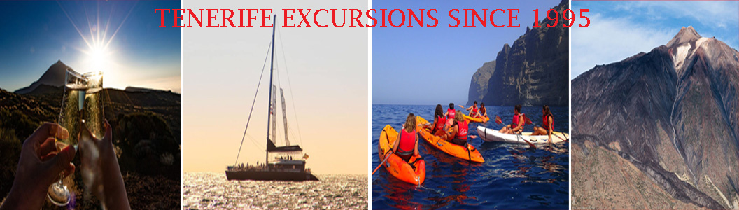 Tenerife excursions trips tours from Los Gigantes, Playa la Arena, Guia de Isora, Playa Paraiso