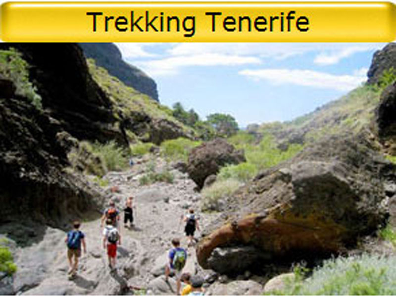 Trekking and Hiking in Tenerife