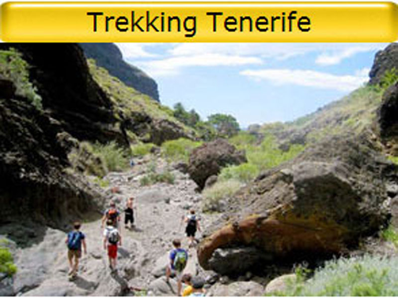 tenerife trips excursions