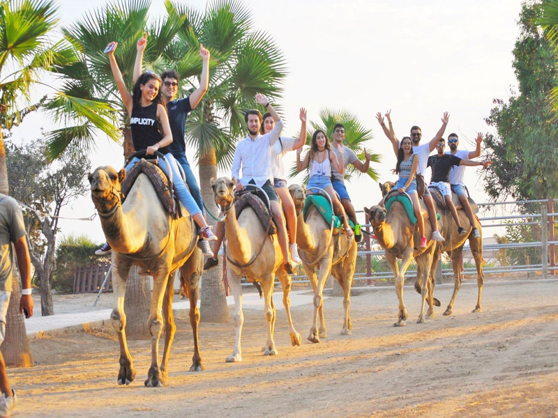 Camel Park