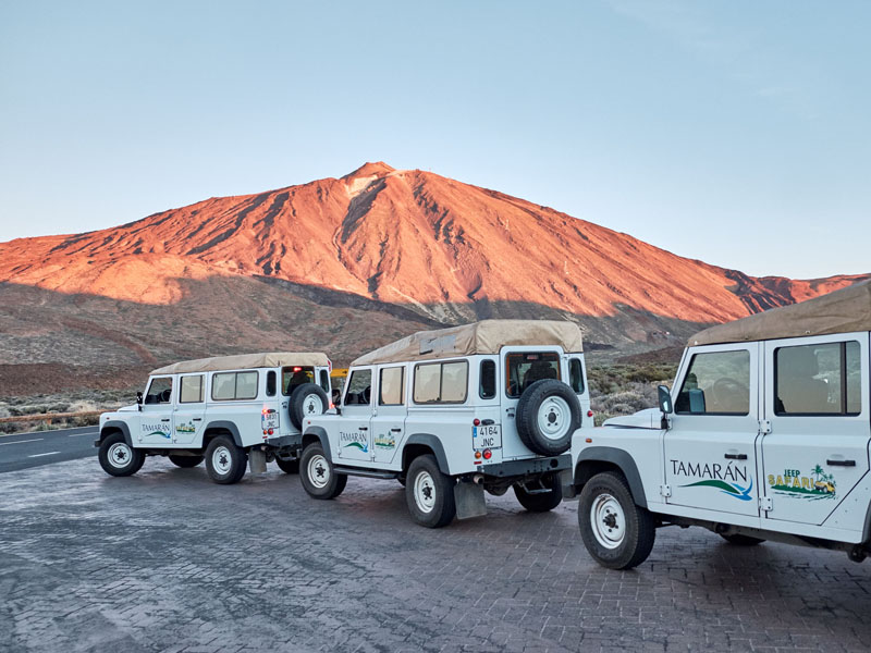 4x4 Jeep Safari