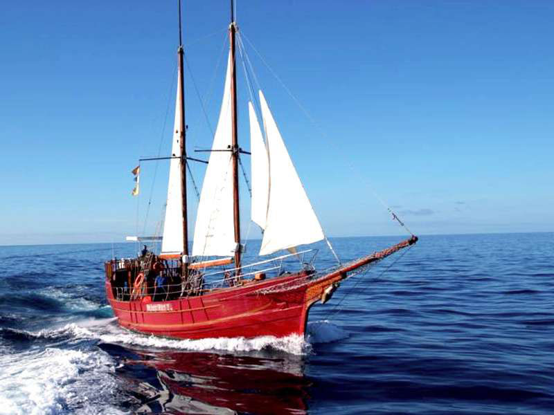 Peterpan 2 and 3 hour sailings